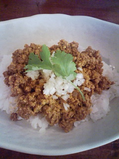 20100209131949.jpg