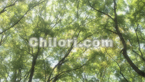 photo09.jpg